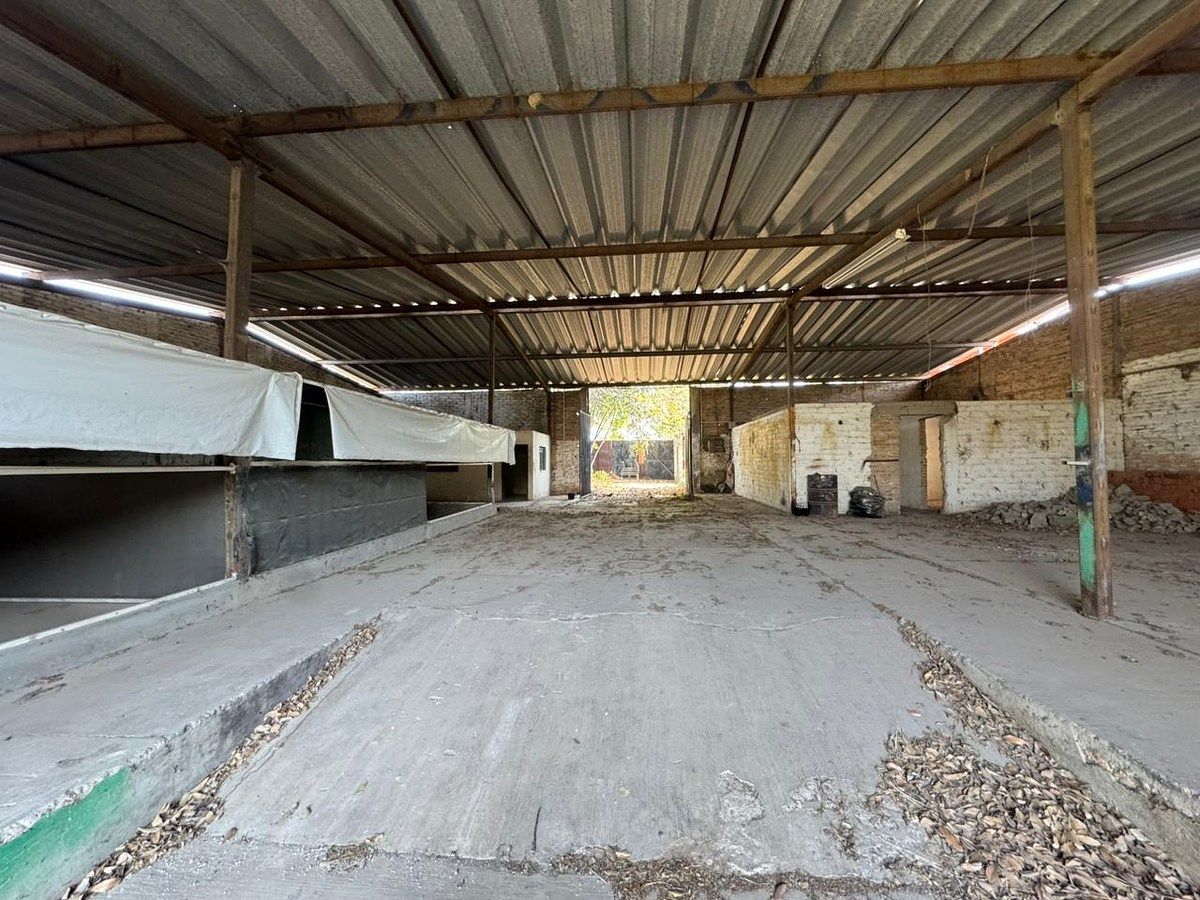 Lot in Rio Blanco, Zapopan, photo 9 of 19