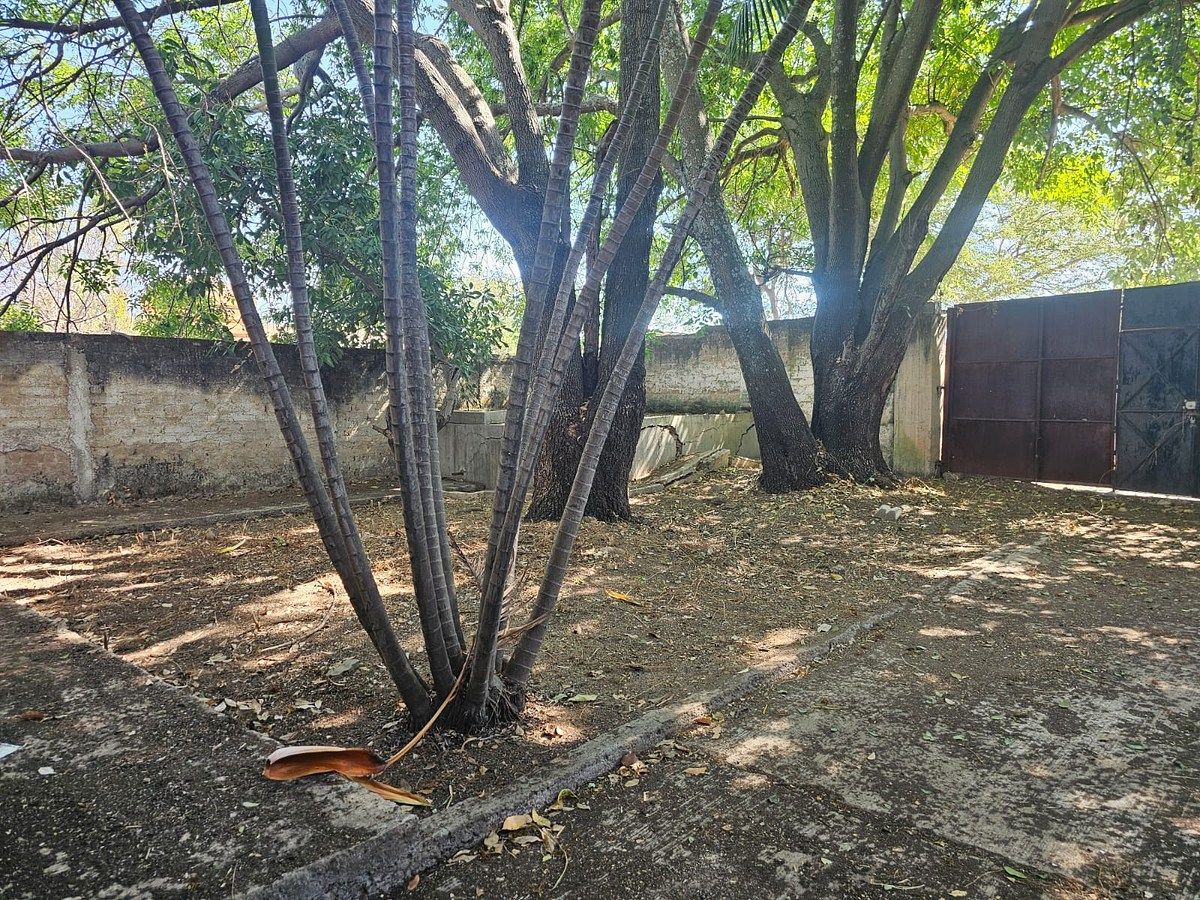 Lot in Rio Blanco, Zapopan, photo 12 of 19