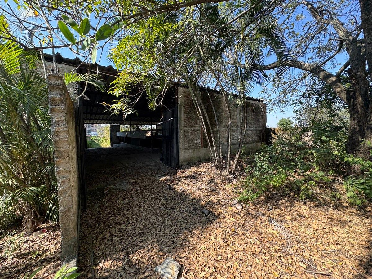 Lot in Rio Blanco, Zapopan, photo 19 of 19