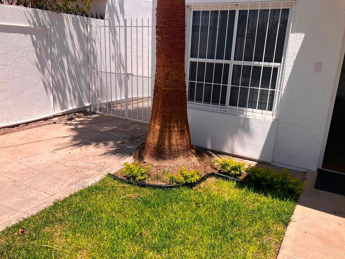 House in Las Granjas, Chihuahua, photo 13 of 15