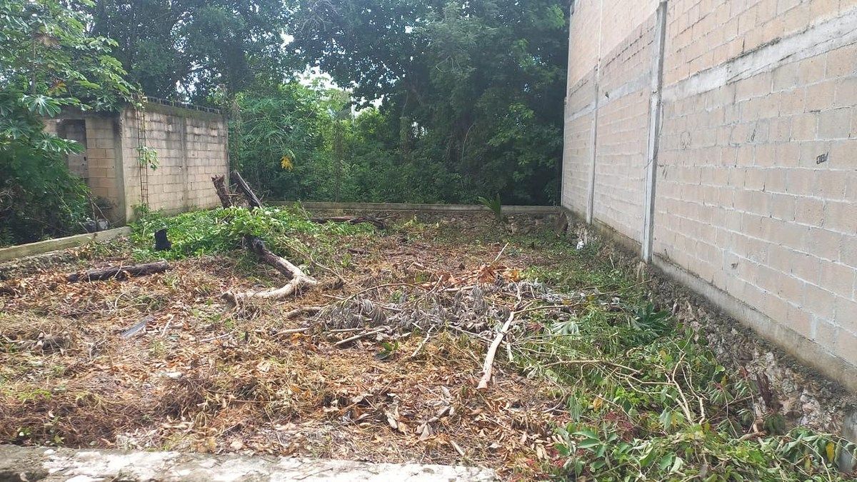 Terreno en Catania Residencial, Benito Juárez, foto 3 de 4