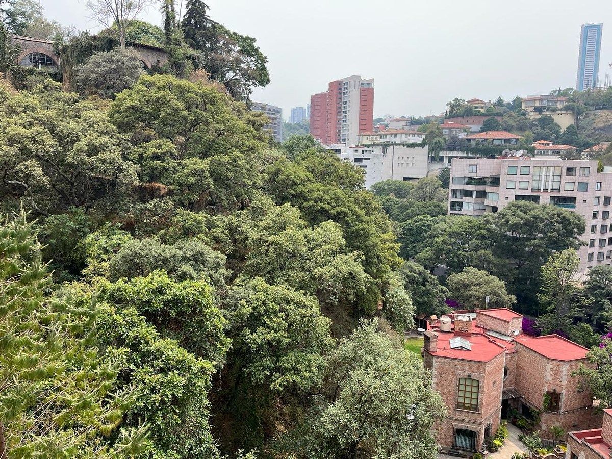 Vistas a la cañada, foto 5 de 14