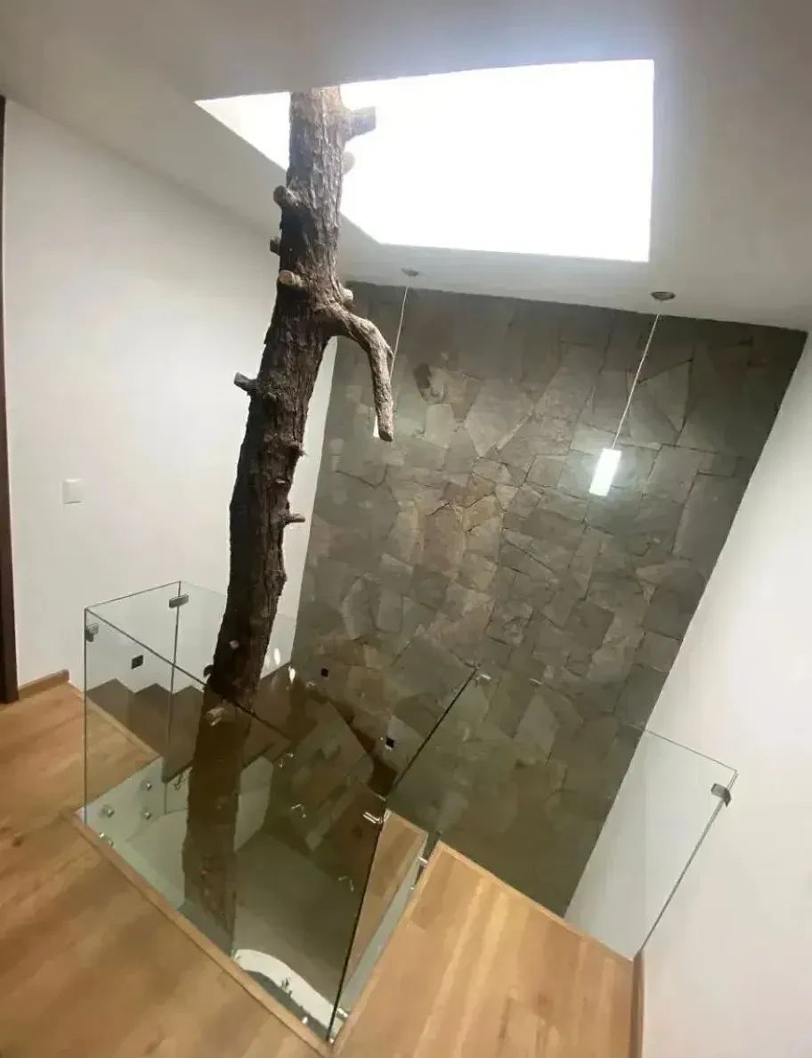 Casa em condomínio fechado em La Cima, Zapopan, foto 13 de 28
