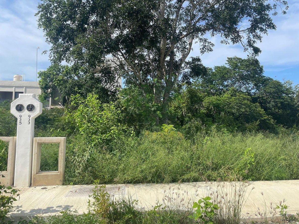 Terreno en Real Montejo, Mérida, foto 4 de 8