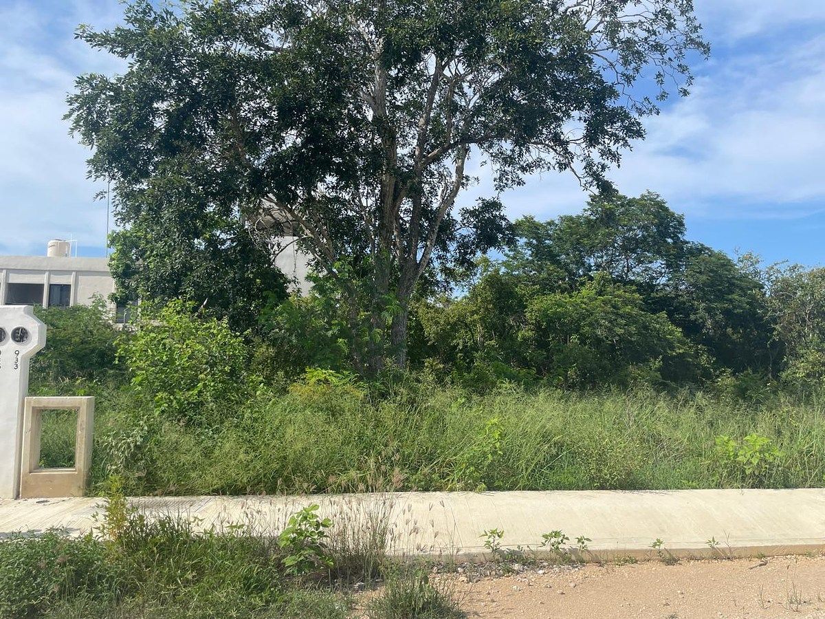 VENTA!!! TERRENO RESIDENCIAL EN REAL MONTEJO DZITYA YUCATÁN, foto 1 de 8