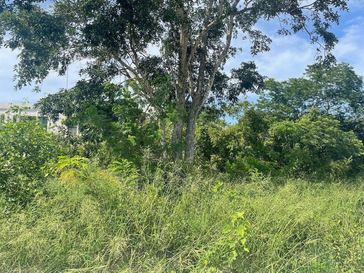 Terreno en Real Montejo, Mérida, foto 6 de 8
