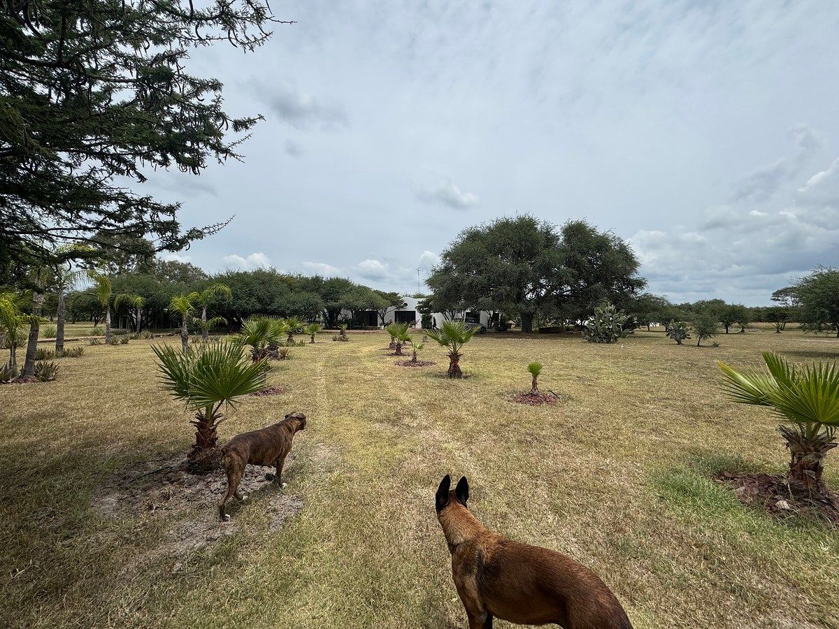 Country House in El Huizachal, San Miguel de Allende, photo 2 of 50