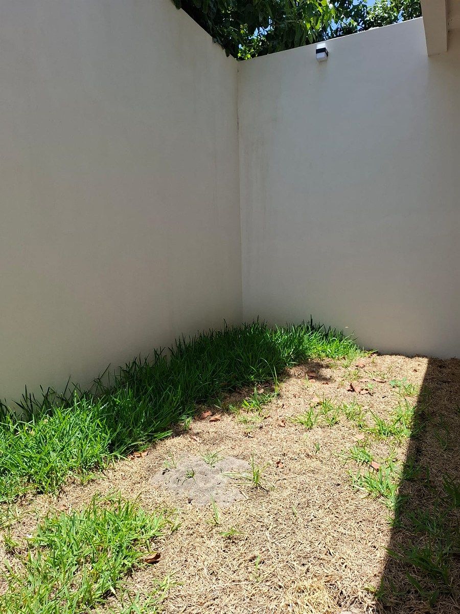 Casa en Plan de Ayala, Tuxtla Gutiérrez, foto 11 de 21