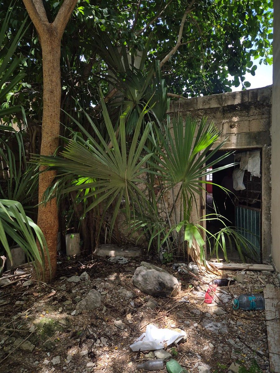 Casa en Mérida Centro, Mérida, foto 9 de 15