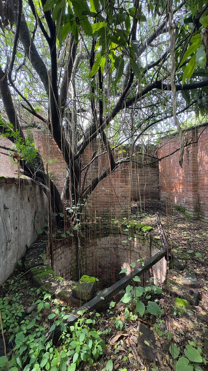 Terreno en San Martin Hidalgo, San Martín Hidalgo, foto 4 de 14