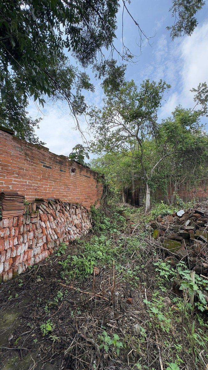 Terreno en San Martin Hidalgo, San Martín Hidalgo, foto 6 de 14