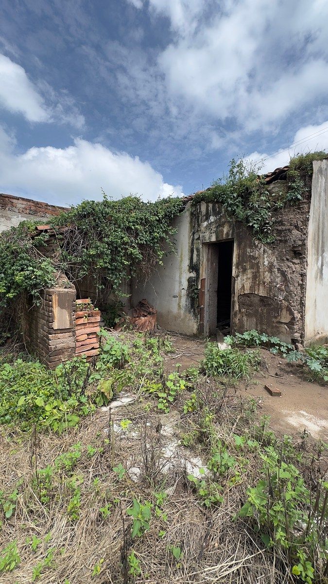 Terreno en San Martin Hidalgo, San Martín Hidalgo, foto 5 de 14