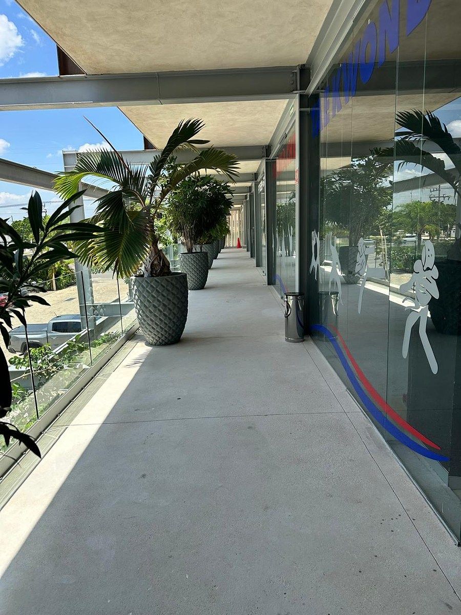 Retail Space in Temozón Norte, Mérida, photo 2 of 4