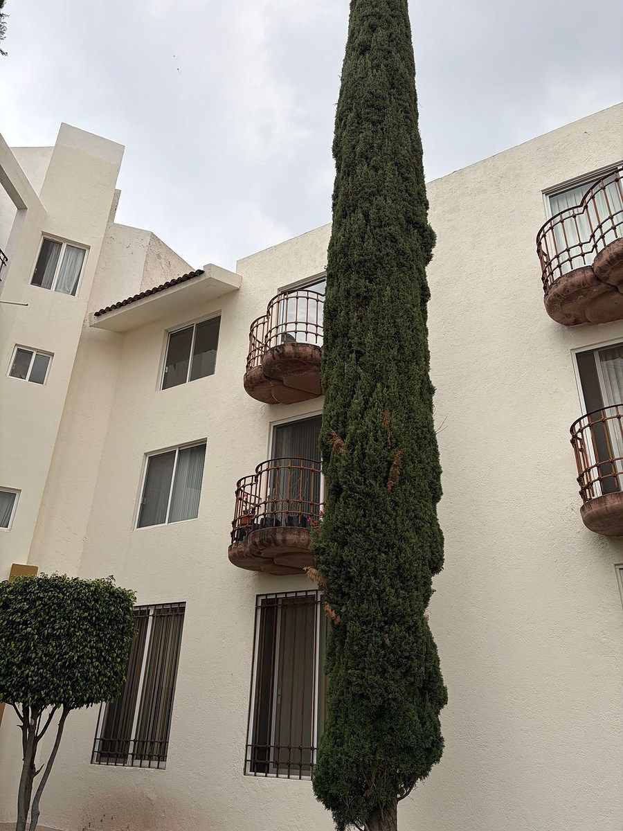 Apartamento em Milenio III, Querétaro, foto 37 de 39