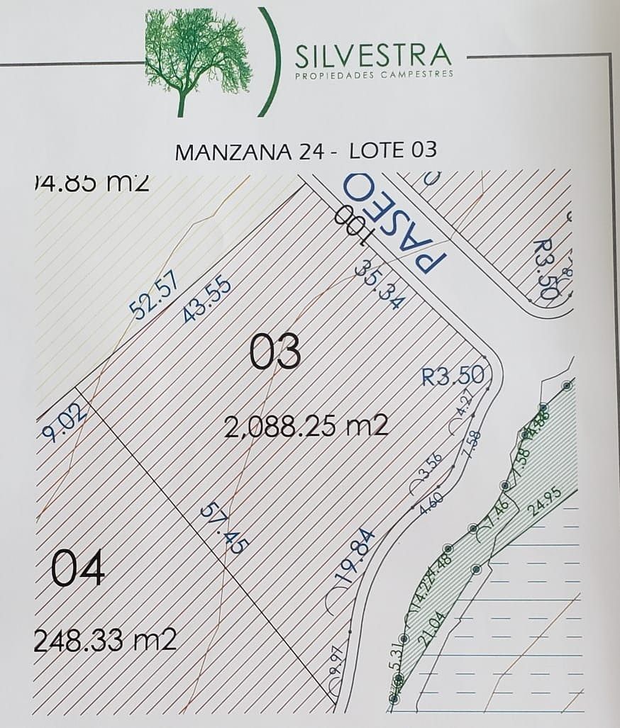 Lote em Canoas, Montemorelos, foto 6 de 6