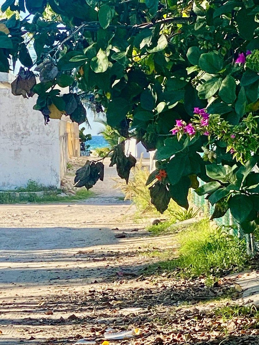 Casa en Chicxulub Puerto, Progreso, foto 24 de 39