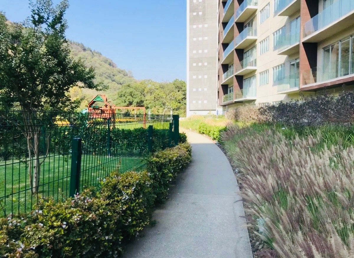 Departamento en San Mateo Tlaltenango, Cuajimalpa de Morelos, foto 30 de 40