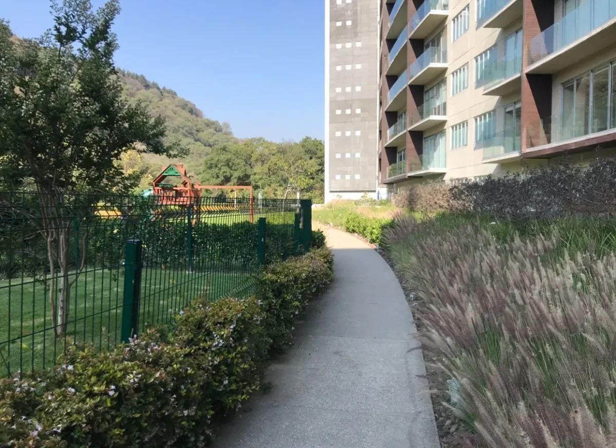 Apartment in San Mateo Tlaltenango, Cuajimalpa de Morelos, photo 25 of 32