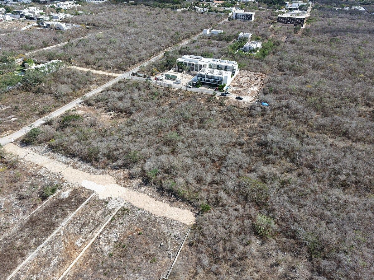 Terreno en Temozón Norte, Mérida, foto 2 de 5