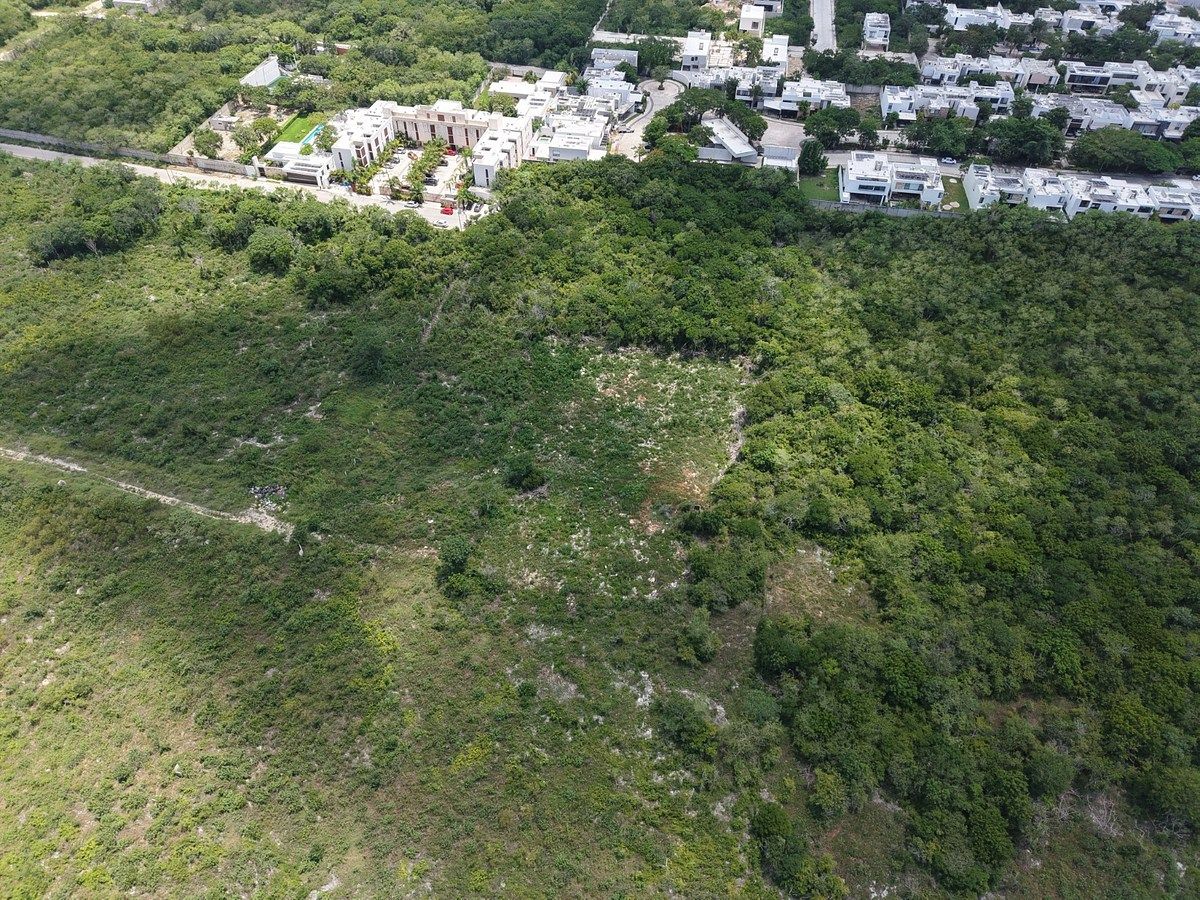 Lote em Temozón Norte, Mérida, foto 2 de 4