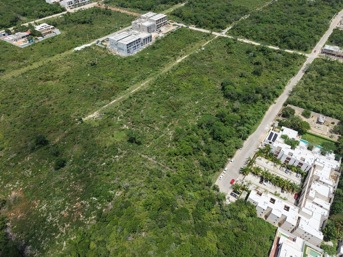 Terreno para desenvolvimento imobiliário ou habitação 1268,14 metros, foto 1 de 4