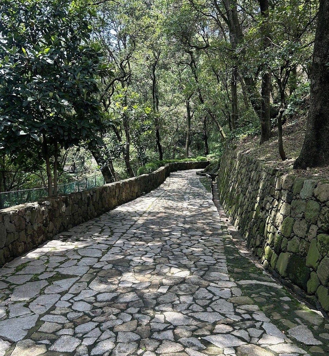 Apartamento em Lomas de Vista Hermosa, Cuajimalpa de Morelos, foto 6 de 7
