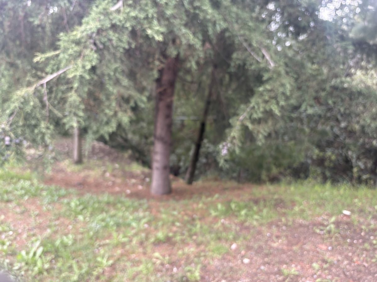 Terreno en Las Águilas, Álvaro Obregón, foto 2 de 20