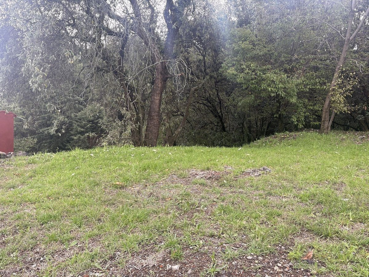 Terreno en Las Águilas, Álvaro Obregón, foto 5 de 20
