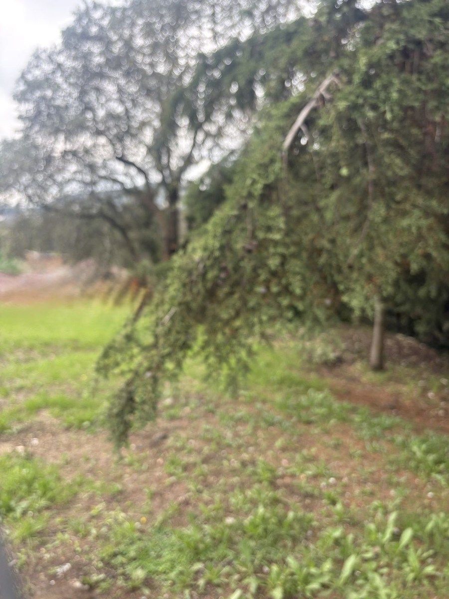 Terreno en Las Águilas, Álvaro Obregón, foto 8 de 20