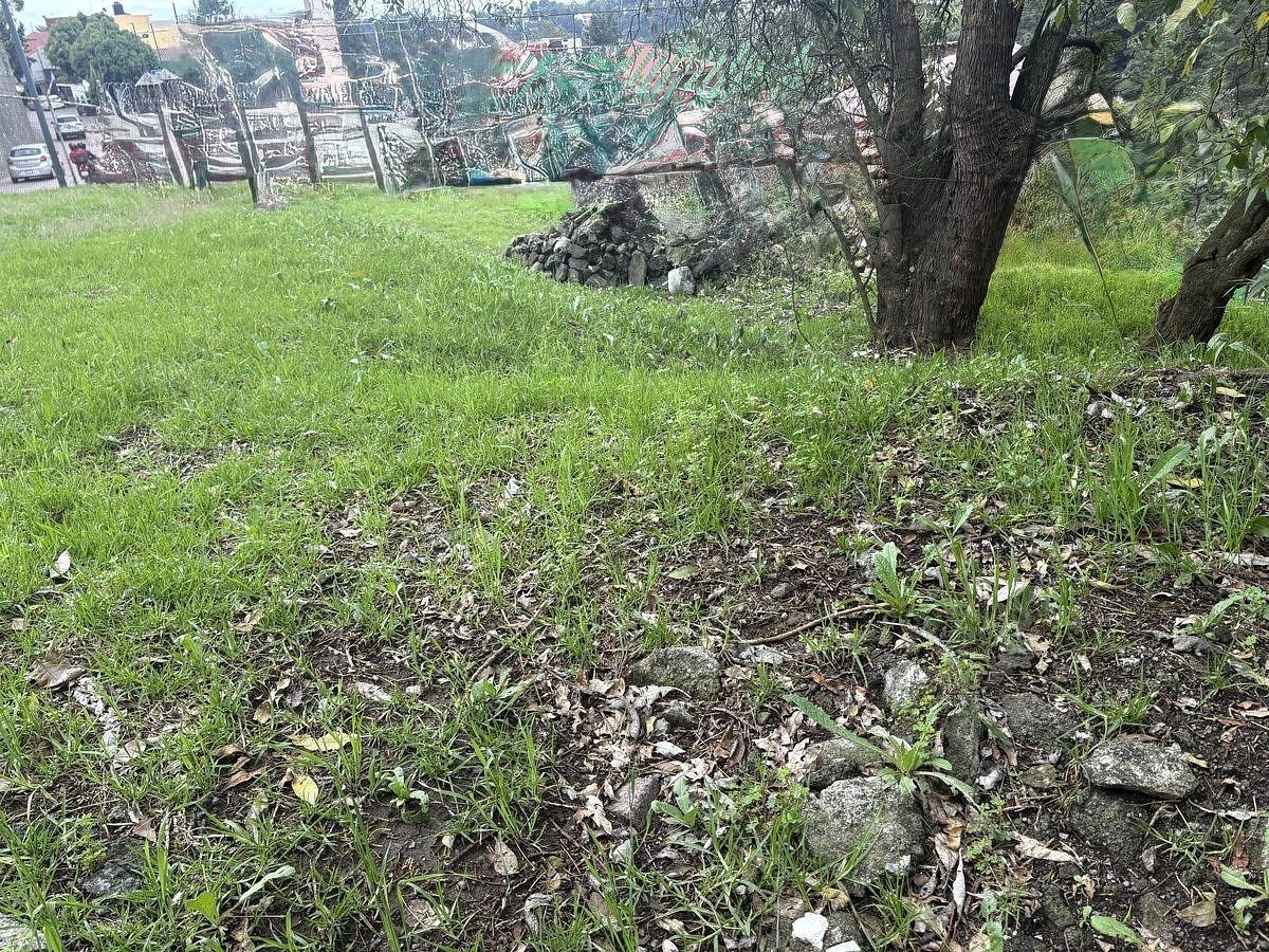 Terreno en Las Águilas, Álvaro Obregón, foto 11 de 20