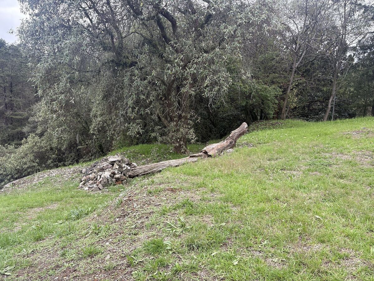 Terreno en Las Águilas, Álvaro Obregón, foto 12 de 20