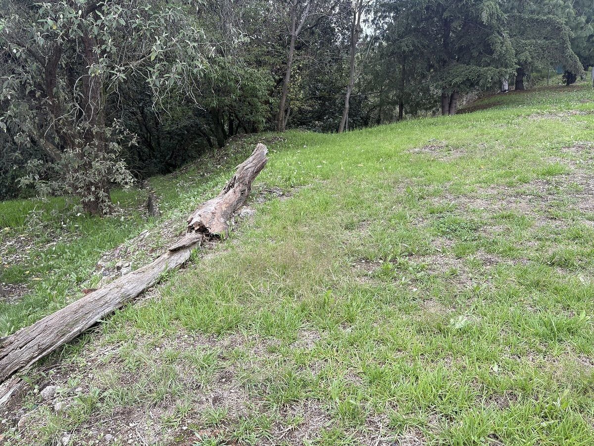 Terreno en Las Águilas, Álvaro Obregón, foto 13 de 20