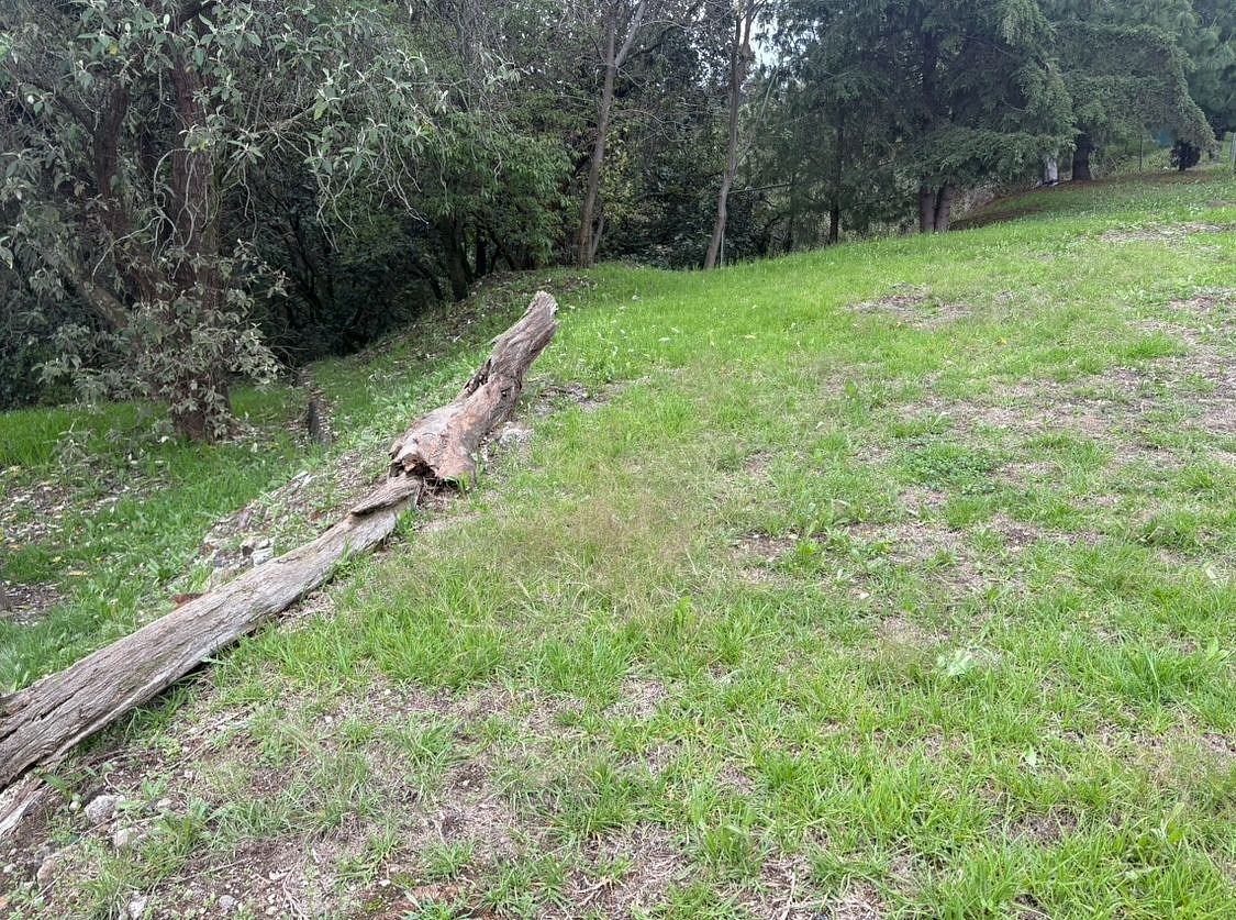 Terreno en Las Águilas, Álvaro Obregón, foto 14 de 20
