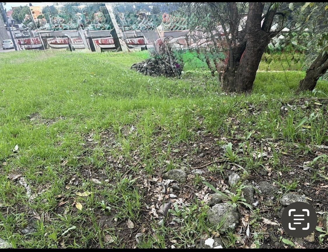 Terreno en Las Águilas, Álvaro Obregón, foto 16 de 20