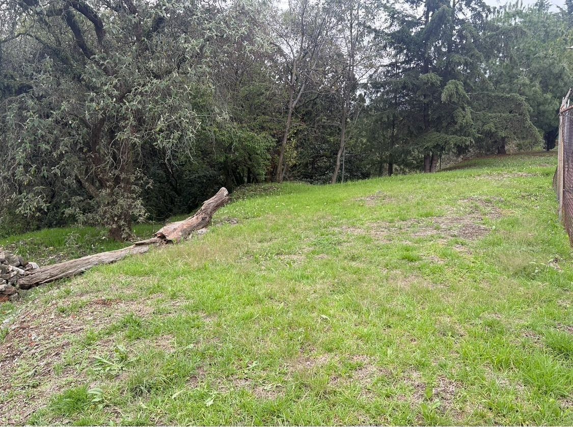 Terreno en Las Águilas, Álvaro Obregón, foto 18 de 20