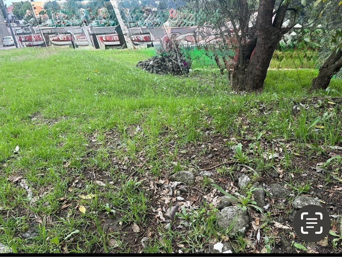 Terreno en Las Águilas, Álvaro Obregón, foto 19 de 20