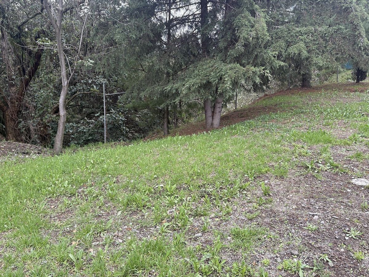 Terreno en Las Águilas, Álvaro Obregón, foto 20 de 20