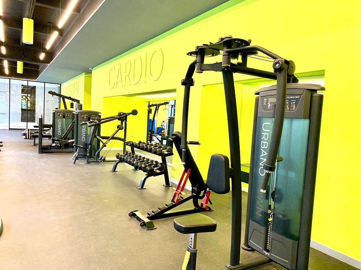 Gimnasio equipado, foto 18 de 27