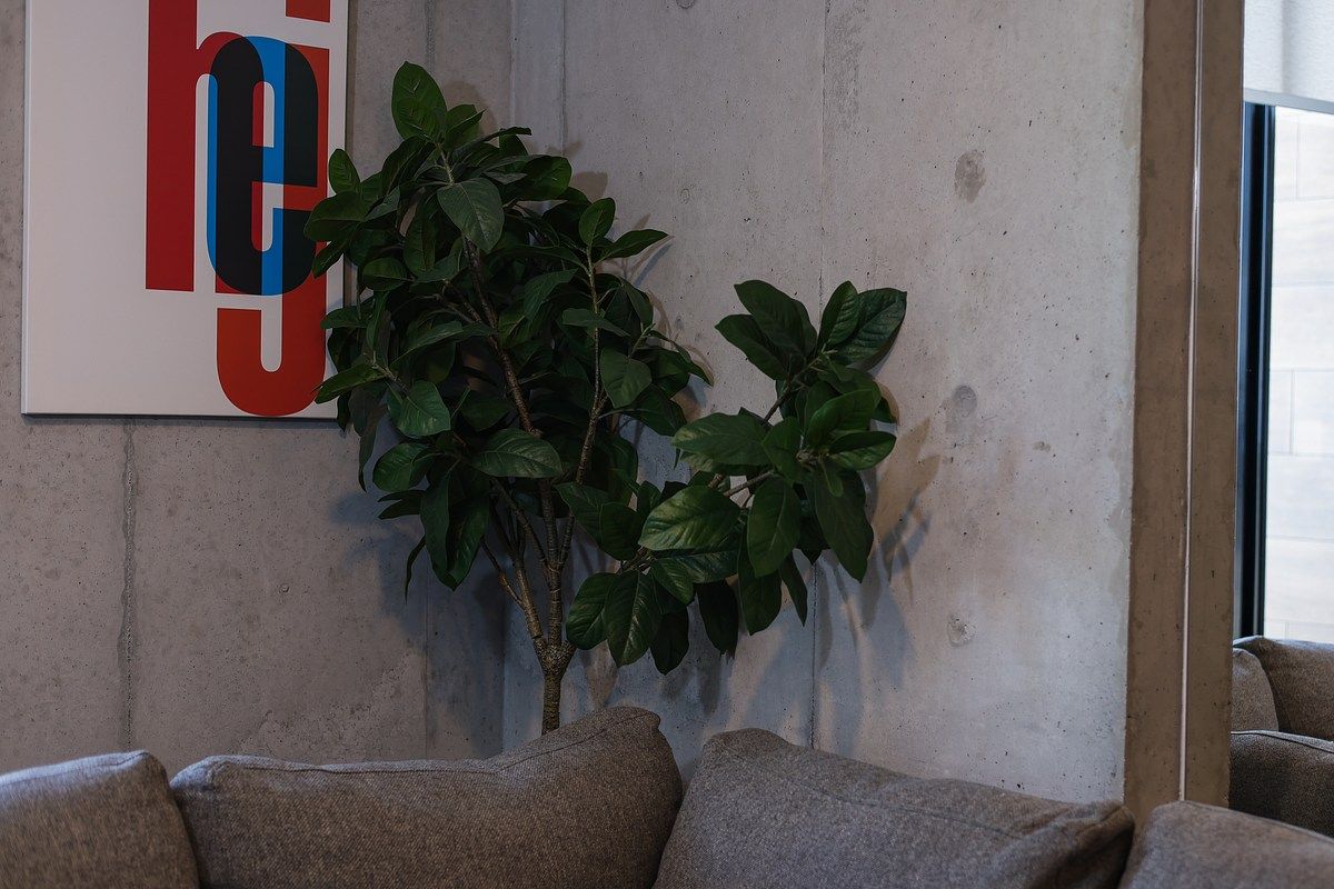 Apartamento em Centro, Monterrey, foto 9 de 13
