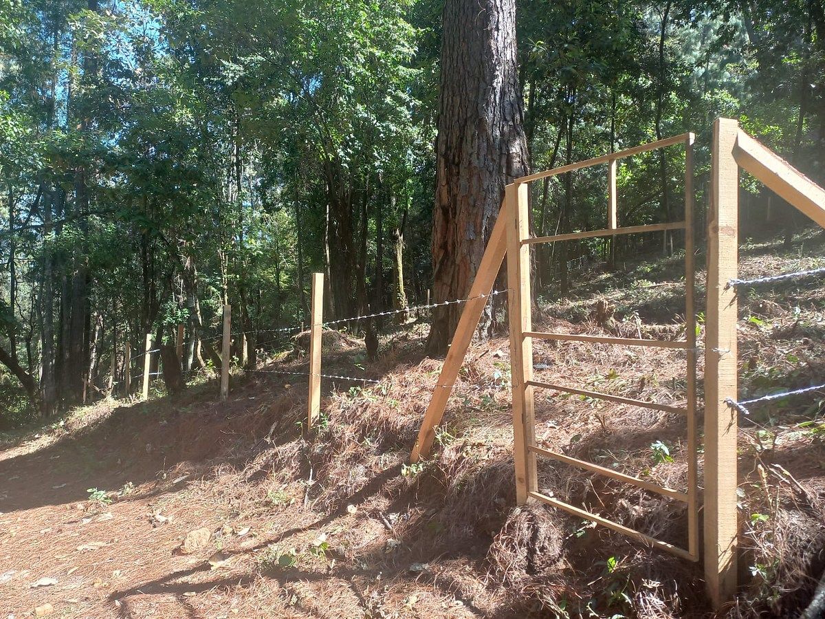 Terreno en Cerro Gordo, Valle de Bravo, foto 4 de 6