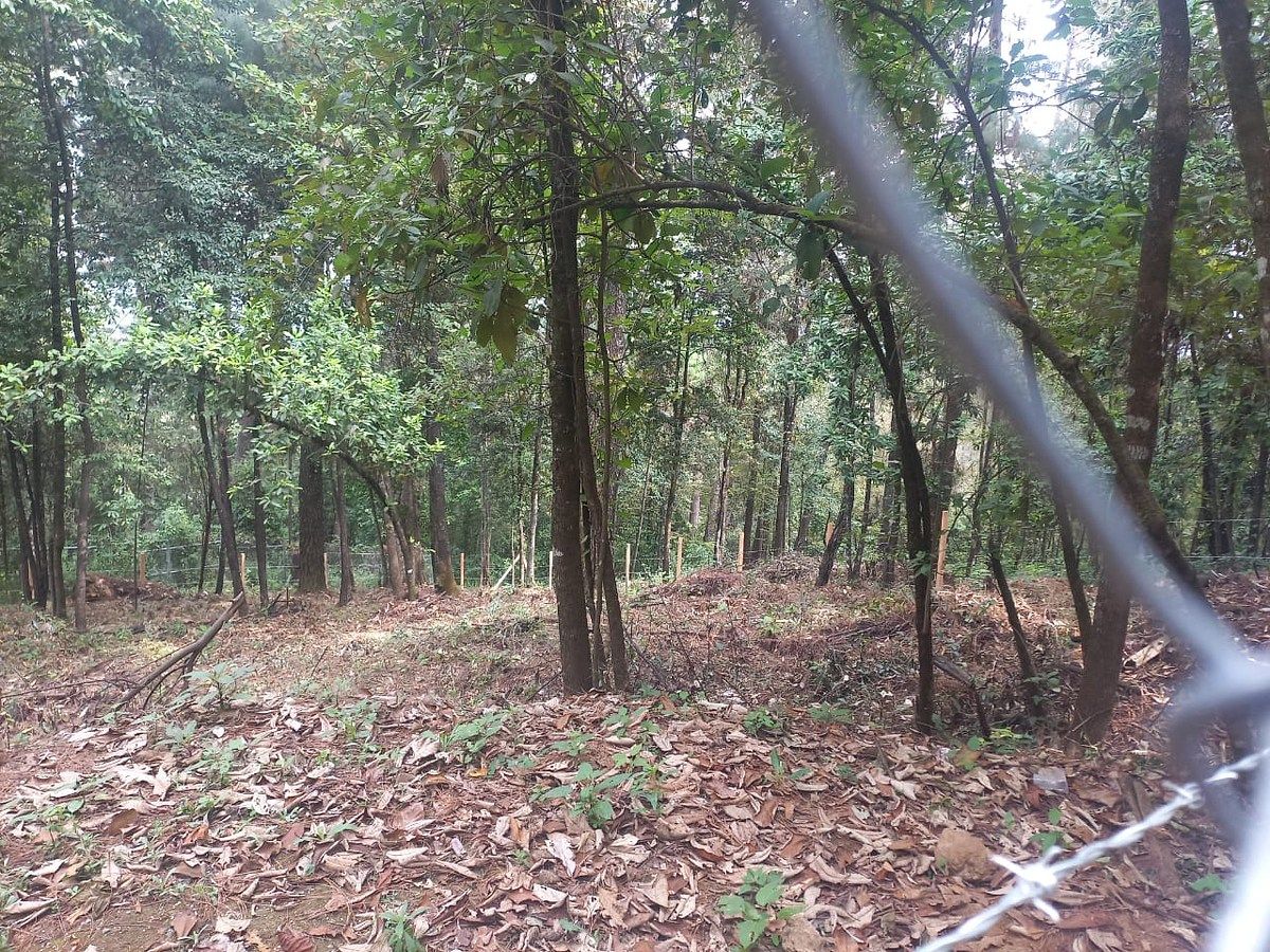 Terreno en Cerro Gordo, Valle de Bravo, foto 2 de 6