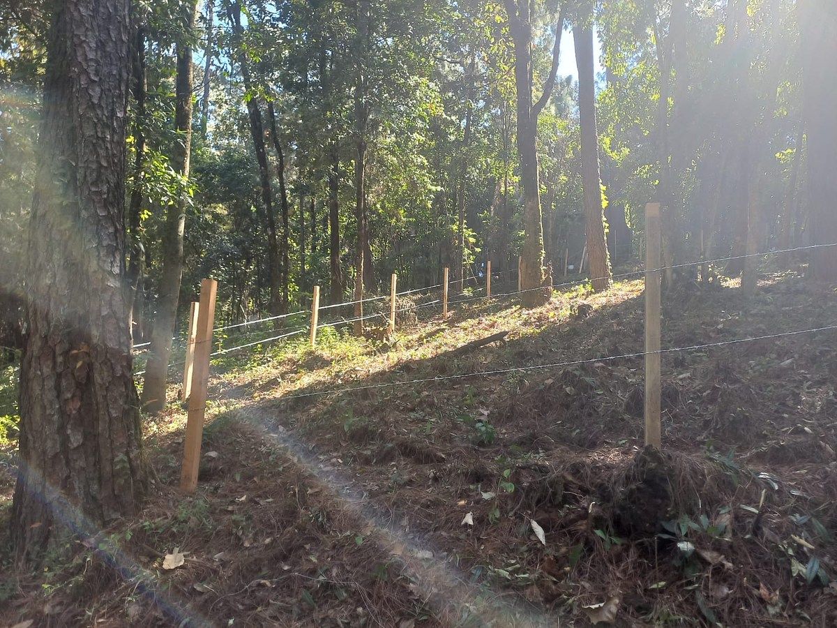 Terreno en Cerro Gordo, Valle de Bravo, foto 5 de 6