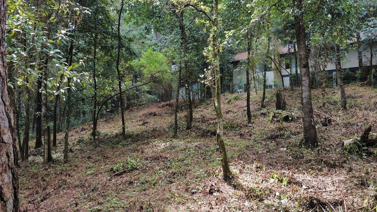 Terreno en Venta, foto 1 de 7