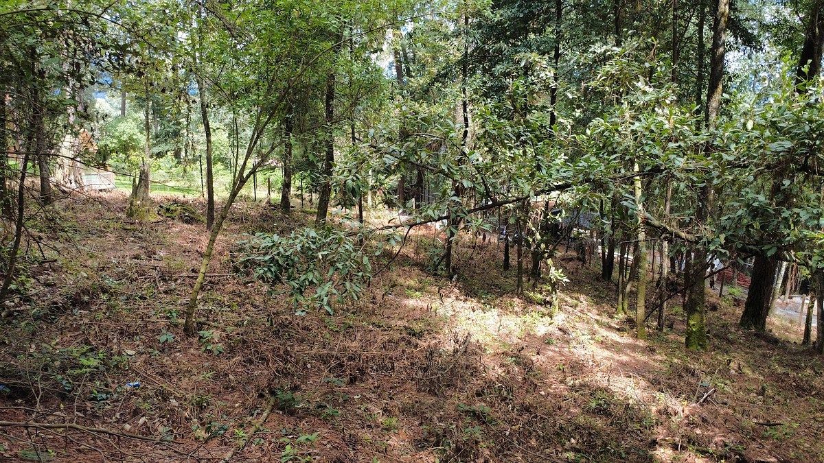 Terreno en Cerro Gordo, Valle de Bravo, foto 3 de 7