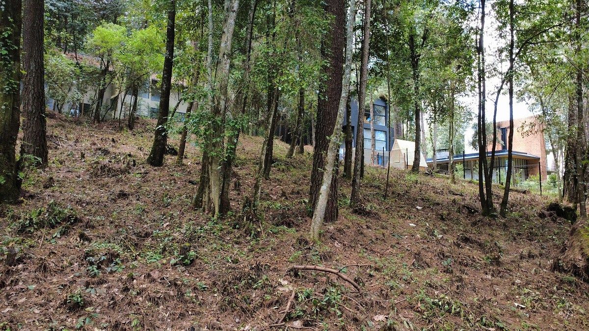 Terreno en Cerro Gordo, Valle de Bravo, foto 2 de 7