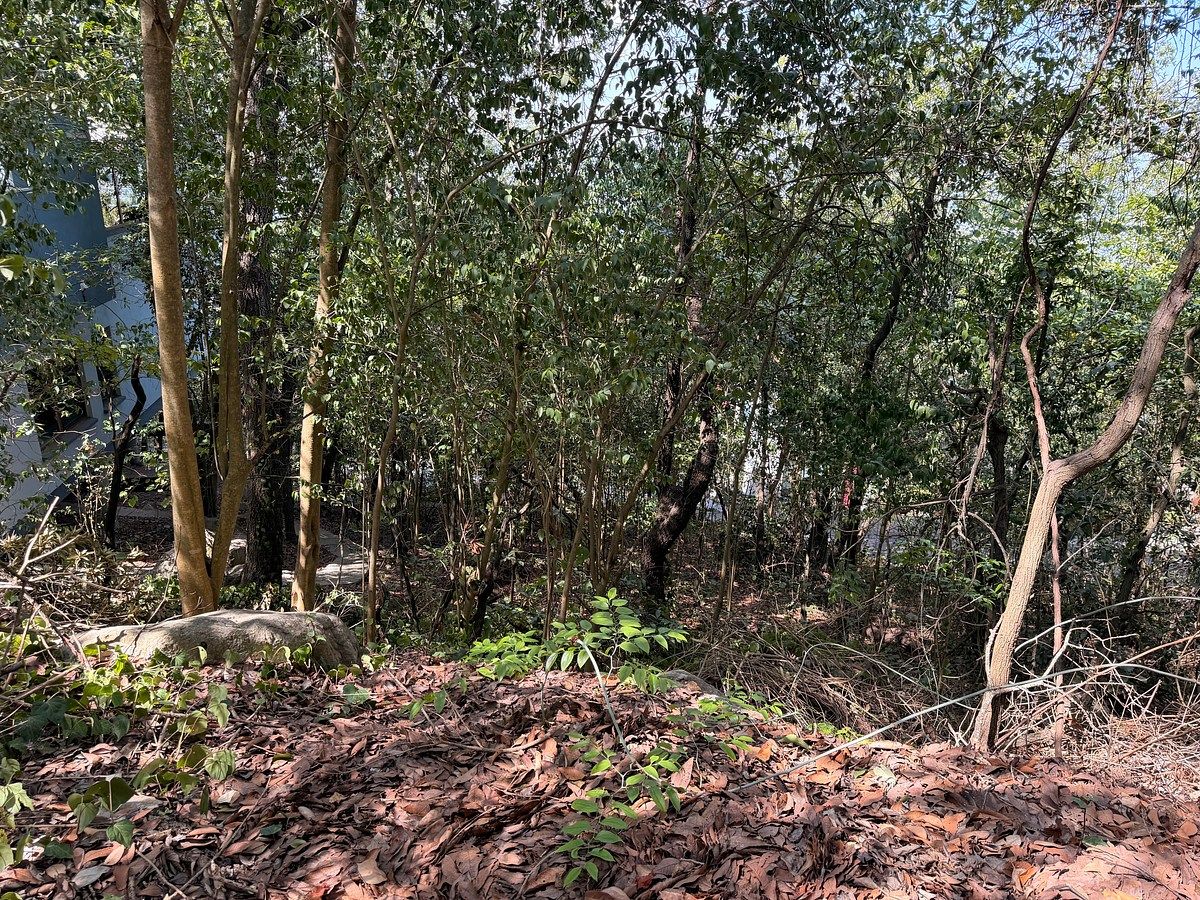 Lote em Olinalá, San Pedro Garza García, foto 4 de 8