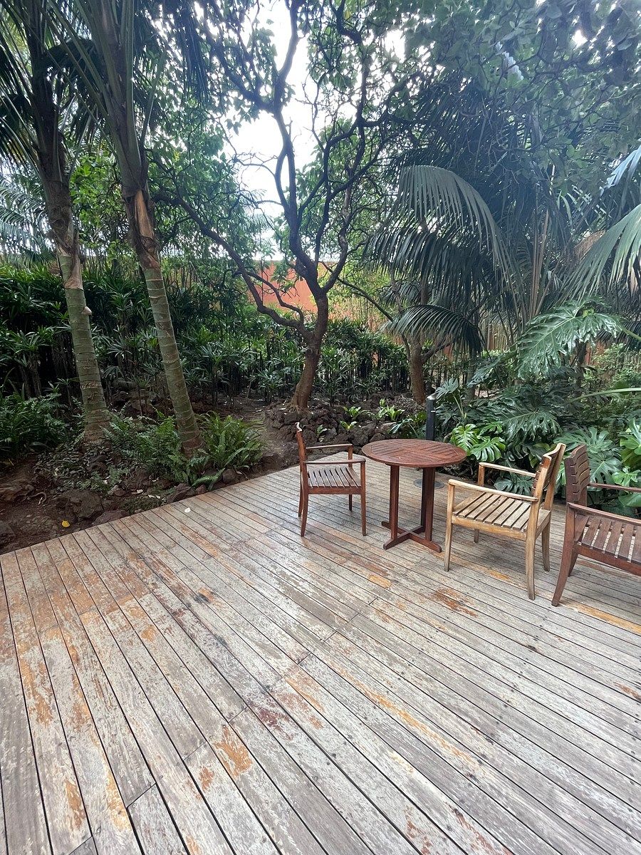 JARDIN INCLINADO, foto 16 de 18