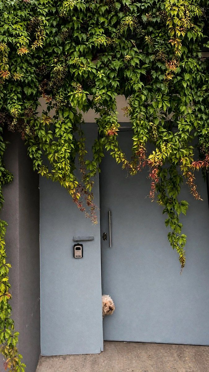 Casa mobiliada providência um único andar, foto 1 de 15