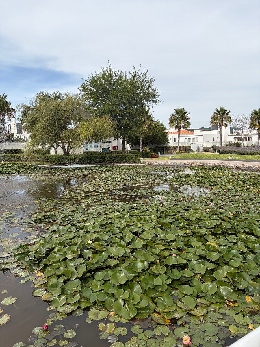 Apartamento em Juriquilla, Querétaro, foto 21 de 29