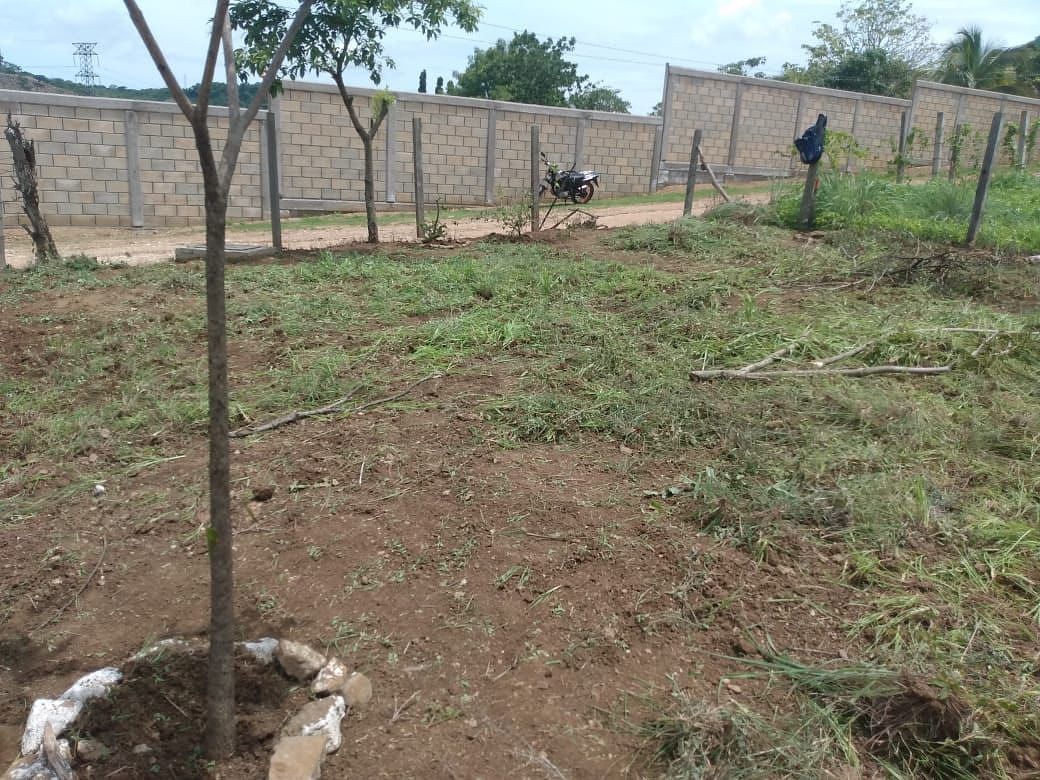 Terreno en Viva Cárdenas, San Fernando, foto 5 de 8